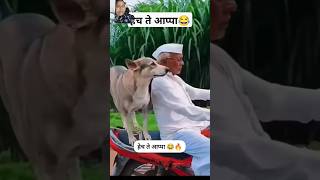 क्रेडिट कार्ड वाले अप्पा सापडले खरंच आप्पाचा विषय हार्ड है😱🤣 #funny #song #marathi #ytviral #shorts