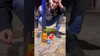 ABANDONAMOS el CHOCOLATE de Mr BEAST a medianoche 🍫