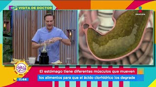 ¿Cuántos tipos de gastritis hay? | Sale el Sol