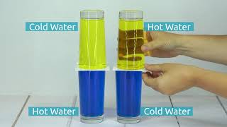 Hot Water Density Experiment