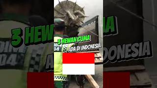 3 HEWAN LANGKA YANG CUMA ADA DI INDONESIA #faktahewan #hewanlucu