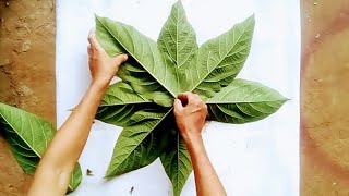 Csqt 💚 Make Flower Pots From Towels And Leaves // Cute Chick Decorate The Garden At Home