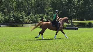 Zenith Ruby de Rev - First XC Schooling - The Vista Aiken - Sept 2022