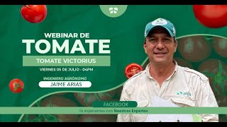 🍅 Tomate VICTORIUS [ Modulo 4  - WEBINAR 🔴]