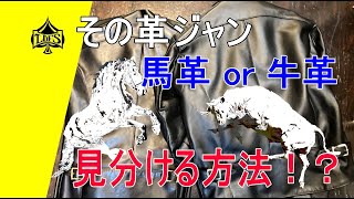 牛革と馬革レザージャケットの見分け方の話をしよう