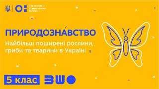 5 клас. Природознавство. Найбільш поширені рослини, гриби та тварини в Україні