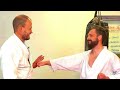 shisochin bunkai for goju ryu basic and advanced