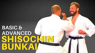 Shisochin Bunkai for Goju Ryu: Basic and Advanced