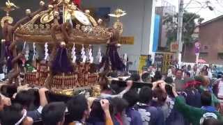 平成２５年 三鷹 八幡大神社 例大祭  本社千貫神輿渡御 。