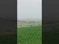 saharan dust cloud in tuscan stayed for 4 days nature birds asmr