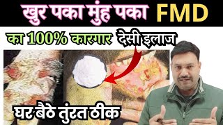 100% Cure खुरपका और मुंहपका रोग का देसी इलाज FMD ka ilaaj kaise karen