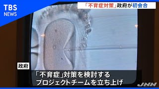 流産繰り返す「不育症」 政府が支援策検討に着手