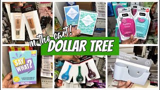 DOLLAR TREE FINDS | WHATS NEW AT DOLLAR TREE | DOLLAR TREE COME WITH ME | DOLLAR