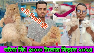 পোষা প্রাণী মার্কেট ঢাকা কাটাবন |  Katabon Cat price | Cat price in Bangladesh | Cute cat price