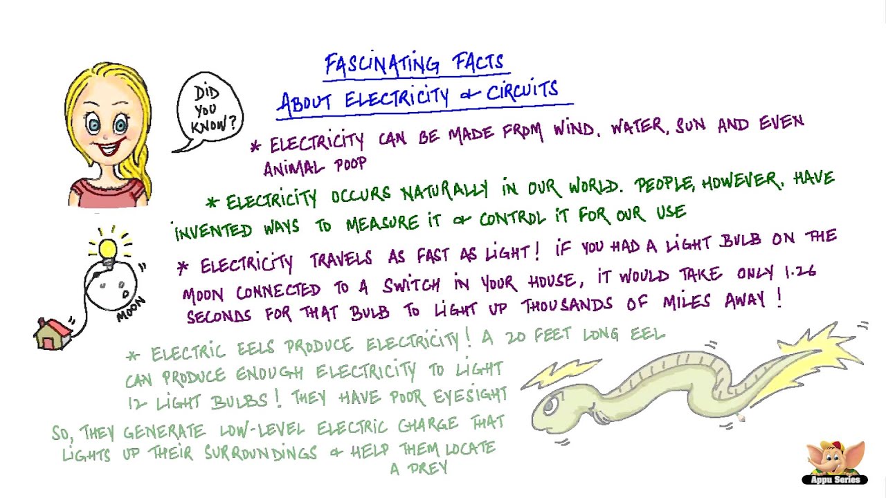 Facts About Electrical Circuits