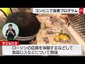 コンビニで食育プログラム（2022年12月18日）