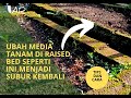 INILAH TIPS DAN CARA MENGGEMBURKAN MEDIA TANAM DI RAISED BED DI KEBUN PEKARANGAN RUMAH