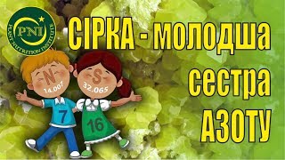 Сірка і живлення рослин: форми, терміни, способи, дози