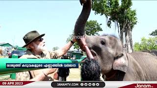 രാജ്യത്ത് കടുവകളുടെ എണ്ണത്തിൽ വൻ വർദ്ധന | JANAM TV