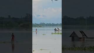 বন্যার্ত অসহায় মানুষের হাহাকার চারদিকে |ভালো নেই সাজানো গ্রামগুলো প্রানের শহরগুলো #বন্যা #বন্যা