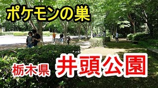 井頭公園　ポケモンの巣　ポケモンGO　栃木県真岡市