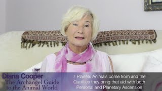 Diana Cooper - 7 Ways Animals Aid Both Personal \u0026 Planetary Ascension