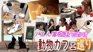 【ノエル家のおでかけ】動物大好きなリアリタを連れて「アニマルカフェ」に初潜入！