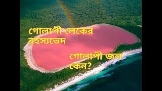 গোলাপী লেকের জল গোলাপী কেন? রহস্যভেদ || Mystery solved Australian Pink Lake