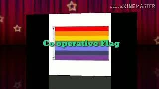 The Co operative Flag