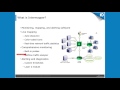 What is Intermapper?