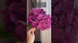 Все мои ролики выходят на несколько дней раньше на VK Video https://vk.com/video/@decor_flowers