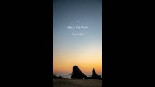 데이비드 최 (David Choi) - Enjoy The View