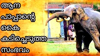 ആഹാരം നൽകുമ്പോൾ ആന പാപ്പന്റെ കൈ കടിച്ചെടുത സംഭവം| Elephant attack mahout |Vallamkulam narayanankutty