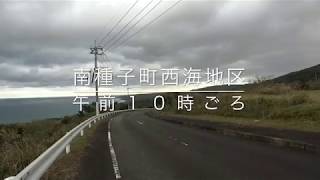 １月　屋久島の雪　そして…種子島は