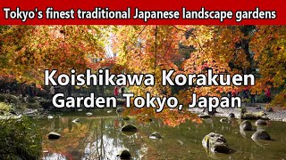 Koishikawa Korakuen Gardens  Tokyo's finest traditional Japanese landscape gardens Guide and tips