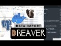 #Docker | DBeaver 🦫 for Data Import | #PostgreSQL #DBeaver #Database #디비버
