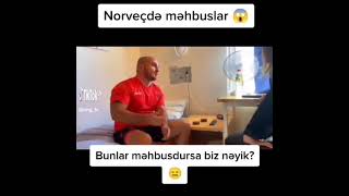 norveç həbsxanası da ceza çekenler