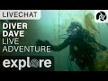 Diver Dave Channel Island Live Adventures - Underwater Live Chat