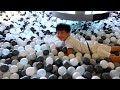 indoor playground for kids fun activities video for children