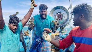 மீன் வலையில் சிங்கி இறால்கள் மாட்டும் நேரடி காட்சி #kadalthaaimagan #fishing #seafood