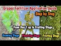 How to grow grapes, Complete fertilizer application guide from growing stage up to fruiting stage