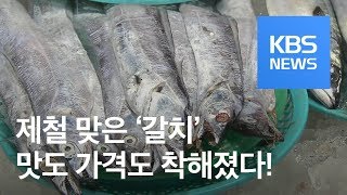 [정보충전] 더 싸고 통통해진 ‘제철 갈치’ / KBS뉴스(News)