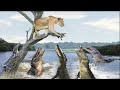 The Whole Lion Family is Destroyed by Giant Crocodile | Animals Attack 2022