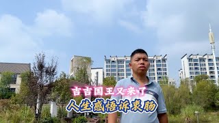 吉吉国王又来了，电动车变摩托，一段感悟揪人心