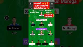 Ren vs Thu Dream 11 Team | Ren vs Thu Dream 11 Prediction | Today BBL Ren vs Thu Dream 11 #shorts