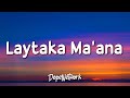 Maher Zain - Laytaka Ma’ana (Lyrics)