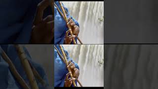 ዋው የአባይ ፏፏቴ አስገራሚ ገፅታ / Amazing views of Abay falls #shorts #viral