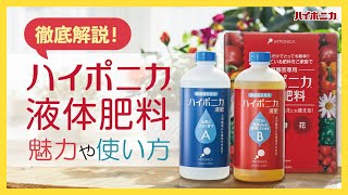 【ハイポニカ】ロングセラー商品‼　ハイポニカ液体肥料【商品紹介】