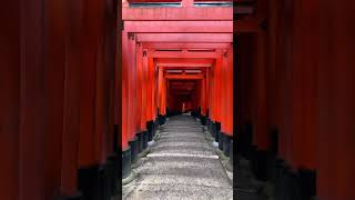 【4K】Fushimi-Inari Taisha Shrine-伏見稲荷大社- 千本鳥居