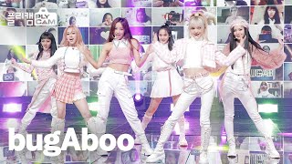 [플리캠 4K] bugAboo 'bugAboo' (버가부 풀캠)ㅣSimply K -Pop Ep.492